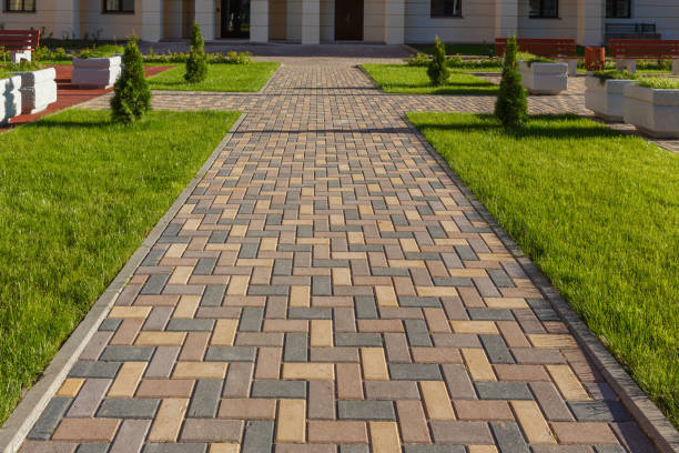 Best Decorative Driveway Pavers  in Sauk Rapids, MN